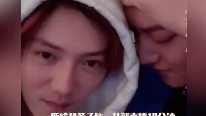 When will I be able to watch Lu Han and Huang Zitao's livestream without laughing? During Lu Han's t