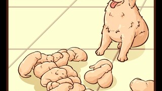 狗夫妻生娃太多被主人‘约谈’不能再多啦！