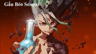 ALL IN ONE | Tiến Sĩ Thời Kì Đồ Đá | Review Phim Anime Hay | Gấu Xàm