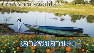 ເລາະຊົມສວນep.2/เลาะชมสวนep.2 สวนดอกดาวเรือง​ที่แคมแม่น้ำเชโดน #แม่น้ำเชโดน