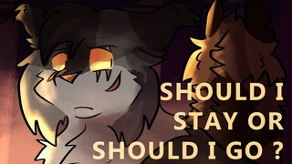 [ SHOULD I STAY OR SHOULD I GO ] Warriors Tigerstar and Darkstripe PMV