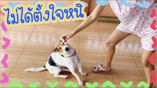 โลกของแสนดี ตอน ทำพังหมดเลย
