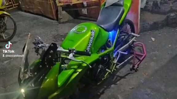 ninja ribet