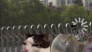 I feel so good just thinking about it