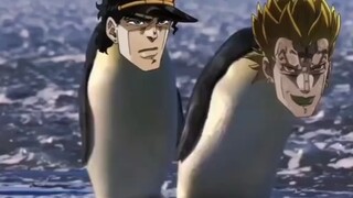 Jo-san và Dior