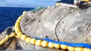 #Warning: More than 100,000kg of plastic removed from the Great Pacific Garbage
