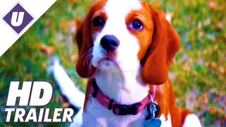A Dog's Journey (2019) - Official Trailer | Dennis Quaid, Josh Gad
