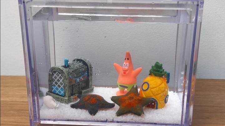 Bought two Patrick Stars and let them live in SpongeBob’s world!