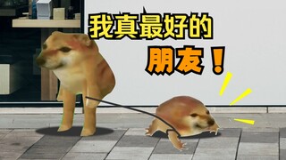 我最好的朋友！