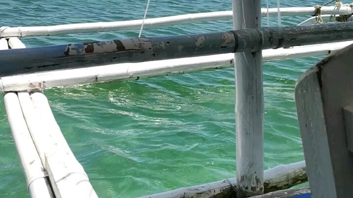 Lakawon island negros occ.