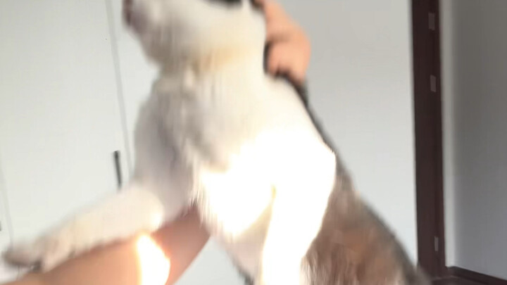 Phúc chứ không phải họa, tình yêu nặng trĩu của con trai cả