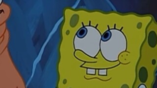 Giving birth to a second child? 【SpongeBob SquarePants】