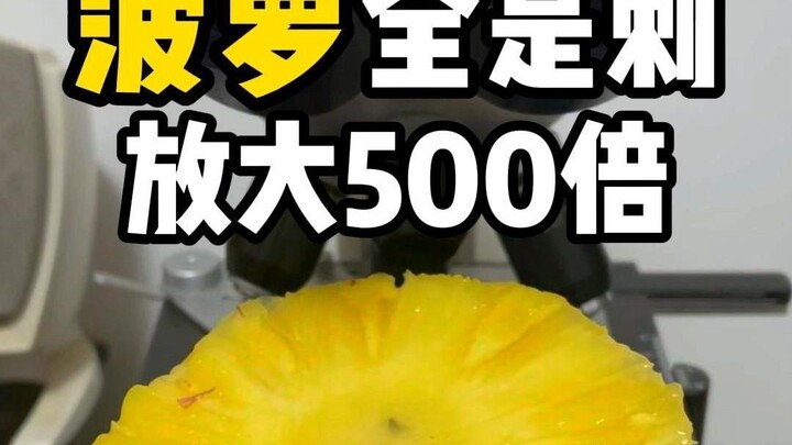 Zoom in on a pineapple 500x and it’s covered in tiny spines—no wonder you need to soak it in saltwat