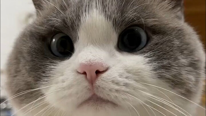 See how many seconds you can hold eye contact without laughing.