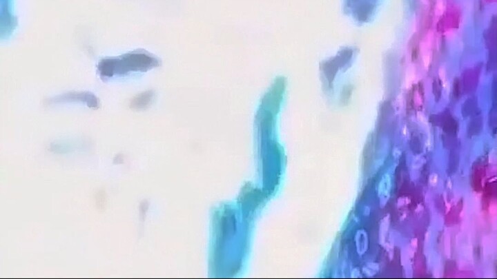 teoria del ultrainstinto
