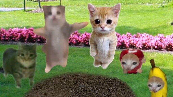 Banana Cat and Friends Digging Away Together