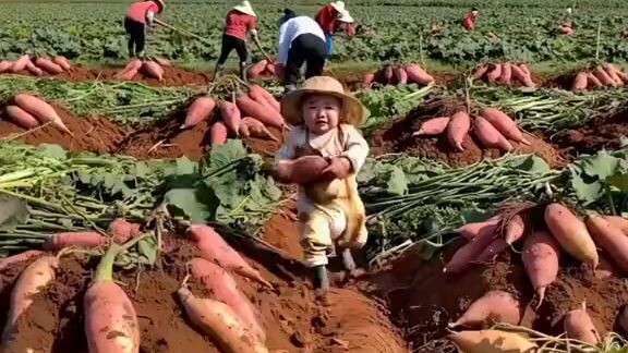 baby farmer 🍼