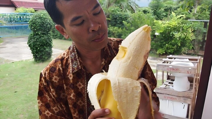 Chuối sừng tê giác – “khổng lồ” trong thế giới chuối