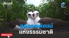 สุดยอดพ่อแม่แห่งธรรมชาติ - สารคดีพากย์ไทย Perfect Parenting