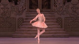 nhảy ca khúc Sugar Plum Fairy #dance