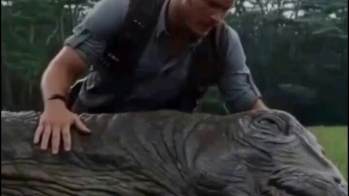 Làm sao để mở máy tính của bạn?