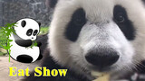 Siaran Makan Panda Raksasa Jarak Dekat (Sangat Dekat)