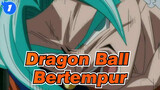 [Dragon Ball/MAD] Bertempur_1