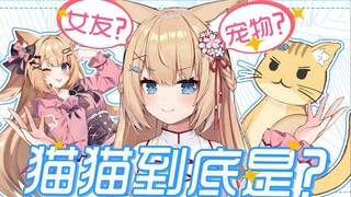 【三分半看猫猫】猫猫是女友还是宠物