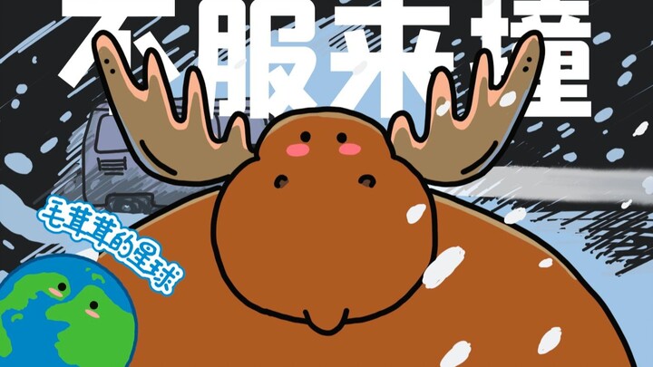 Moose: A Professional Road Killer!