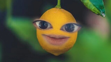 This morning I ran into a human trafficker—I’m not just trying to clickbait you, I really hope this 