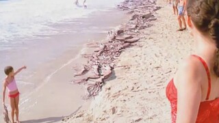 女人和孩子在海边游玩，发现无数的乌贼堆积在海岸边上