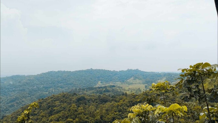 I think they called this love ❤️