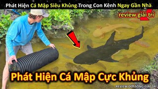 Vô Tình Phát Hiện Thủy Quái Cực Khủng Trong Con Kênh Ngay Gần Nhà || Review Giải Trí Đời Sống