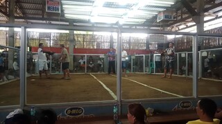 win binabae mayor kalaban naka chamba pa