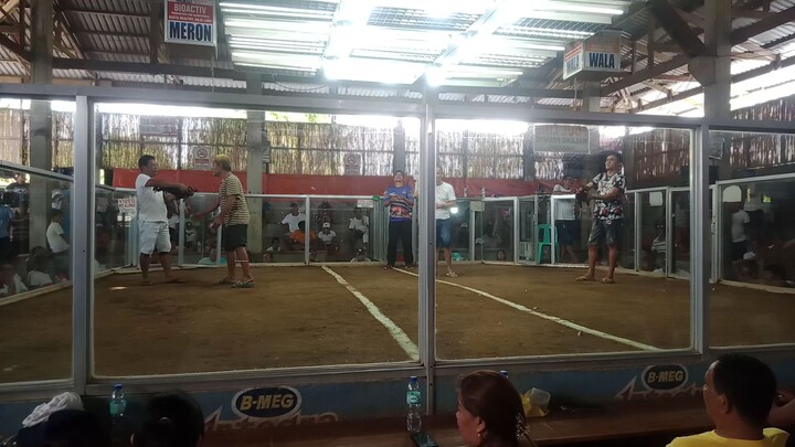 win binabae mayor kalaban naka chamba pa
