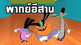 การ์ตูนอ๊อกกี้กับแก๊งแมลงสาบ การ์ตูนวัยเด็กที่คิดถึง