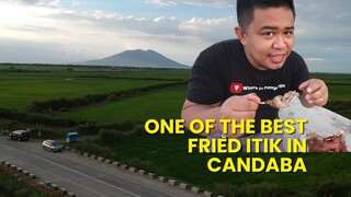 One of the best fried itik in Candaba