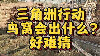 【三角洲行动】鸟窝会出什么，好难猜，要长脑子了