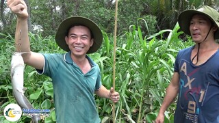 Chú Tín Và Mấy Anh Sài Gòn Trải Nghiệm Câu Cá Đầy Thú Vị | Hội Ngộ Miền Tây - Tập 111