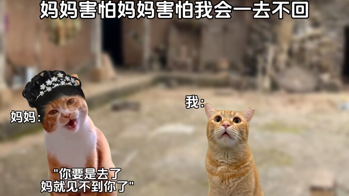 “Mười lăm tòng quân chinh, tám mươi mới được hồi”