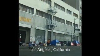 O capitalismo NÃO funciona!