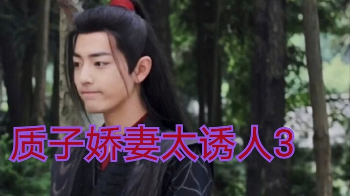 【剧版忘羡ABO】湛王的质子小娇妻3
