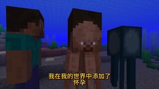 我在我的世界中添加了怀孕