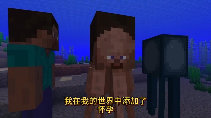 ฉันได้เพิ่มการตั้งครรภ์ในมายคราฟ