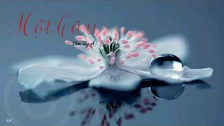 [Pinyin] Một Câu (一句)/Lâm Tây Á