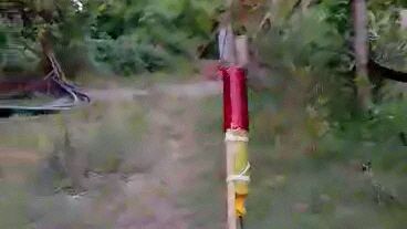loaded kwitis