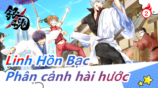 [Linh Hồn Bạc] Phân cảnh hài hước|Gintoki chiến đấu với Kintoki để khôi phục ký ức cho mọi người_2