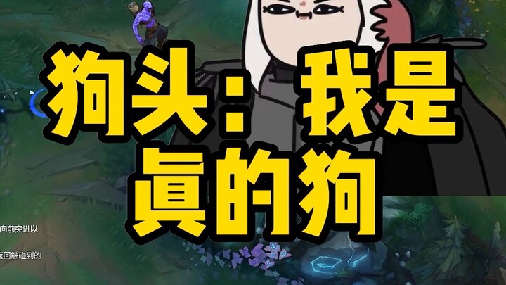 Đầu chó: Tôi đúng là chó thật