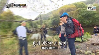 Law of the Jungle in Wild New Zealand Part 2 [2] SUB INDO