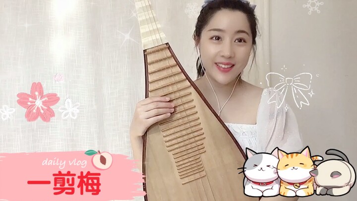 【Đàn tỳ bà】Nhất kiếm mai, bài hát này lại nổi tiếng ở nước ngoài. Phiên bản đàn tỳ bà của cô gái xin